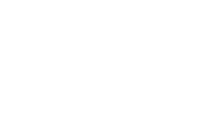 Siemens Logo