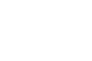 Thermo Scientific Logo