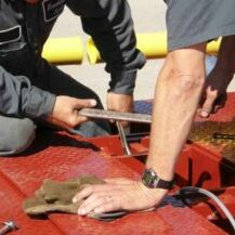 Scale Service scale service