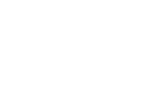 TecWeigh Logo